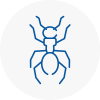 Ant Removals In Shirley