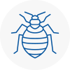 Bed Bug Extermination In Shirley