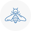 Bee Nest Removal Shirley