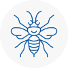 Shirley Hornet Nest Removals