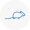 Mice Exterminators In Shirley