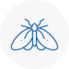 Moth Control Specialists In Shirley