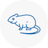 Rat Control Shirley