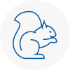 Shirley Rodent Removals