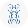 Shirley Wasp Nest Removal